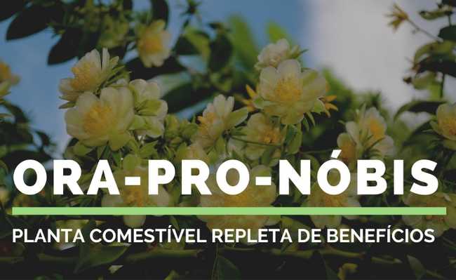 Ora-pro-nobis