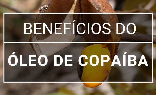 Copaiba yağı: ne işe yarar ve faydaları