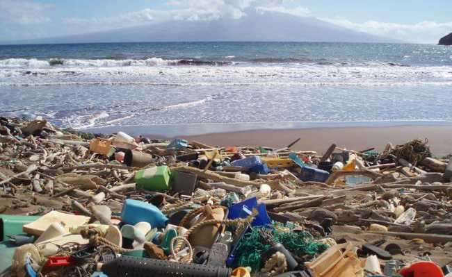 ถังขยะพลาสติกบนชายหาด