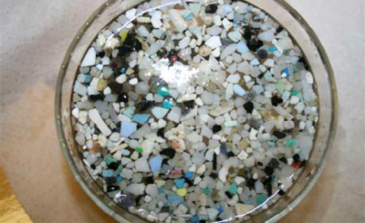 Microplastic: unul dintre principalii poluanți din oceane