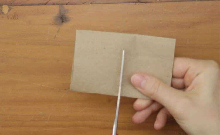 วัสดุเช่นกระดาษแข็งเหมาะสำหรับทำแปลงเพาะเมล็ด