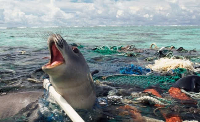Пластиковий океан: як уникнути цього клубка?
