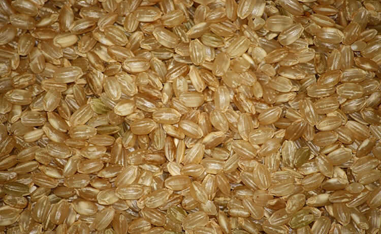भूरे रंग के चावल