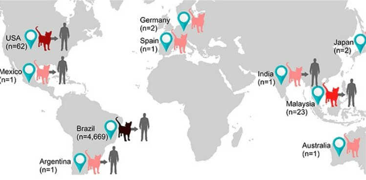 กรณีของ sporotrichosis ในโลกตั้งแต่ปีพ. ศ. 2495 ถึง พ.ศ. 2559 (PLOS Pathogens)