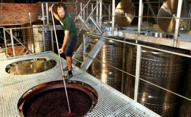إنتاج النبيذ