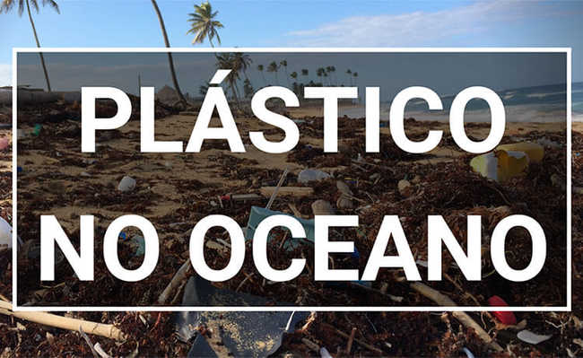 What is the origin of the plastic that pollutes the oceans?