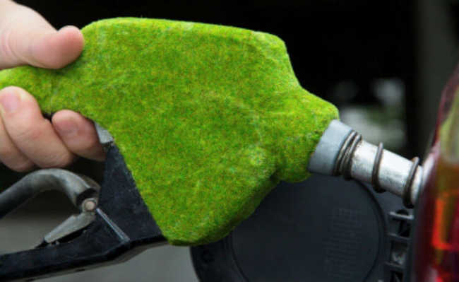 What is biofuel?