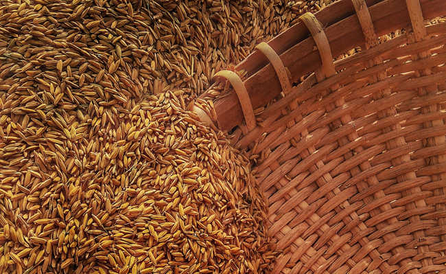 Масло зародышей пшеницы: польза и как применять