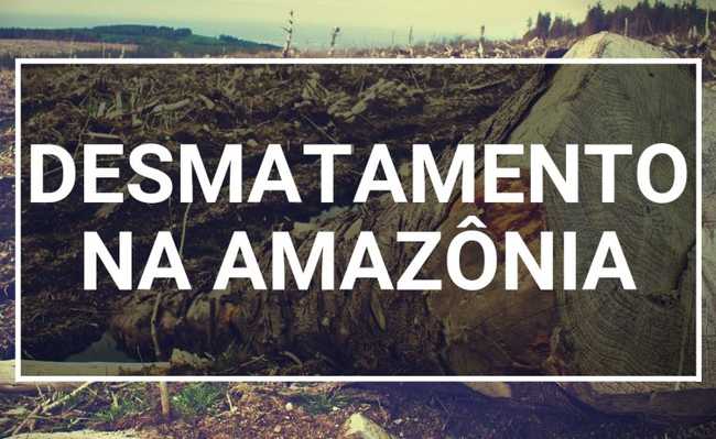 Desforestació amazònica