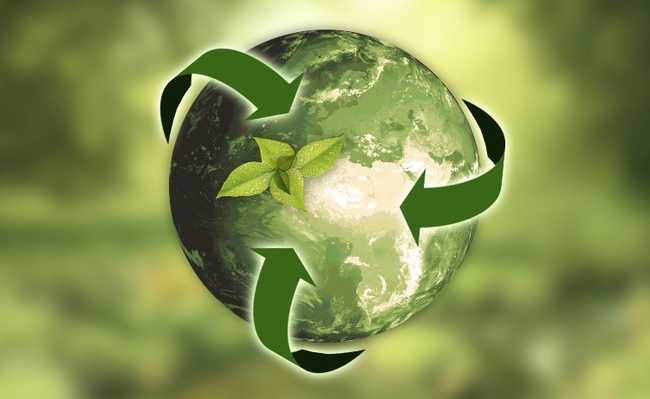 ما هي الاستدامة: المفاهيم والتعاريف والأمثلة