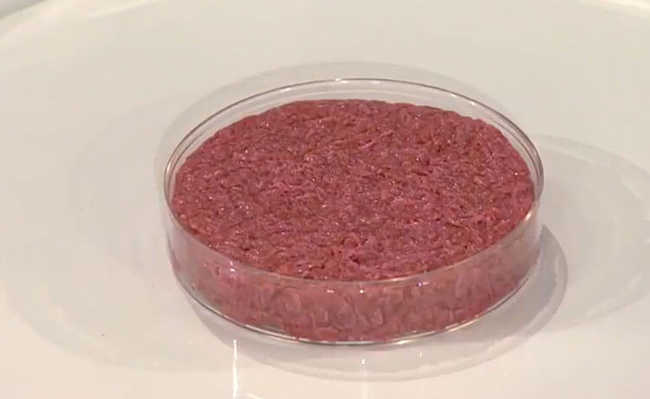 اللحوم الاصطناعية المنتجة في المختبر