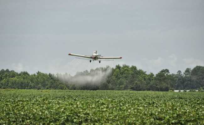 طائرة تضع مبيدات الآفات في الزراعة الأحادية