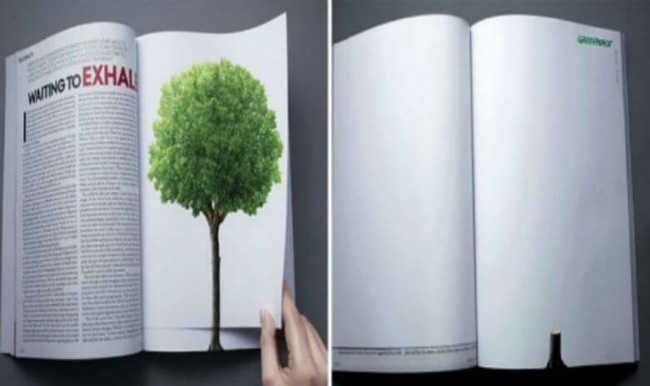 تستمر إزالة الغابات حتى عندما تتغير الصفحة