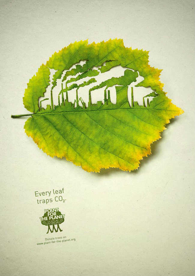 Каждый лист секвестрирует CO2. Растения поглощают создаваемое нами загрязнение
