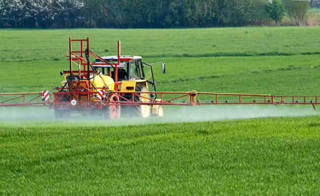 Ce sunt pesticidele?