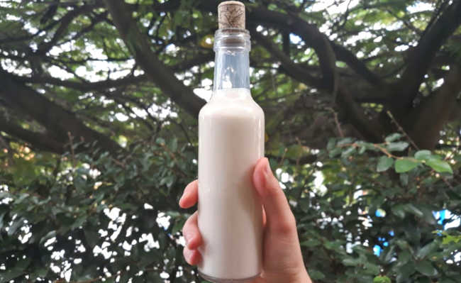 Bakit at Paano Gumawa ng Melon Seed Milk